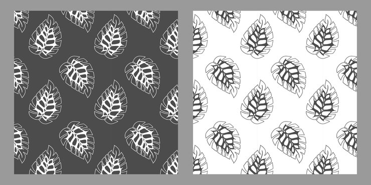 Vector black and white set pattern of monstera tropical leaves hand drawn doodle