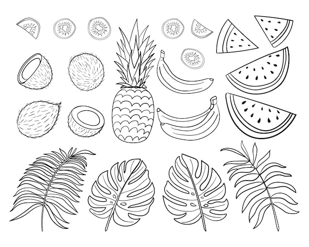 Black and white set of tropical fruits and palm leaves