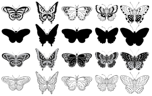 Black and white set of various butterflies forms