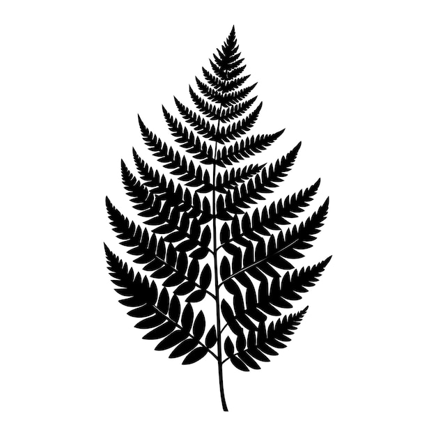 A black and white silhouette of a fern leaf