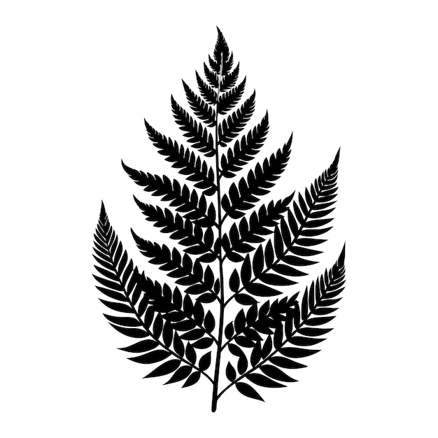 A black and white silhouette of a fern leaf