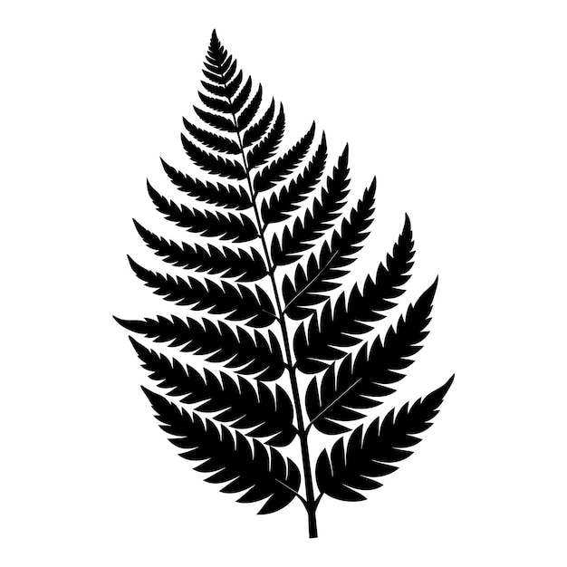 Vector a black and white silhouette of a fern leaf