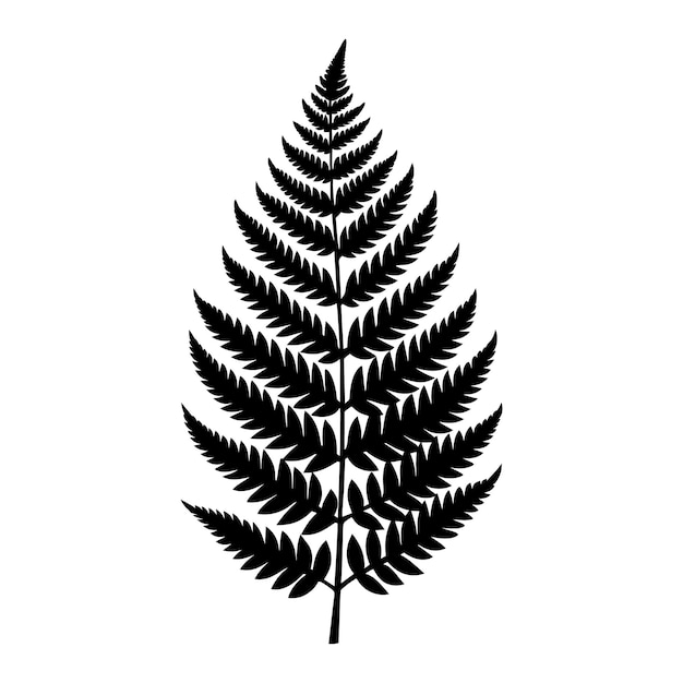 A black and white silhouette of a fern leaf