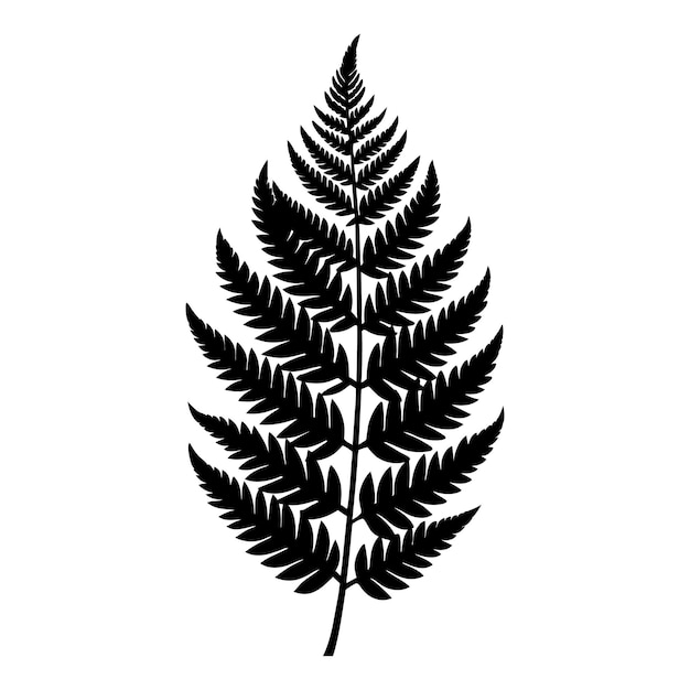 A black and white silhouette of a fern leaf