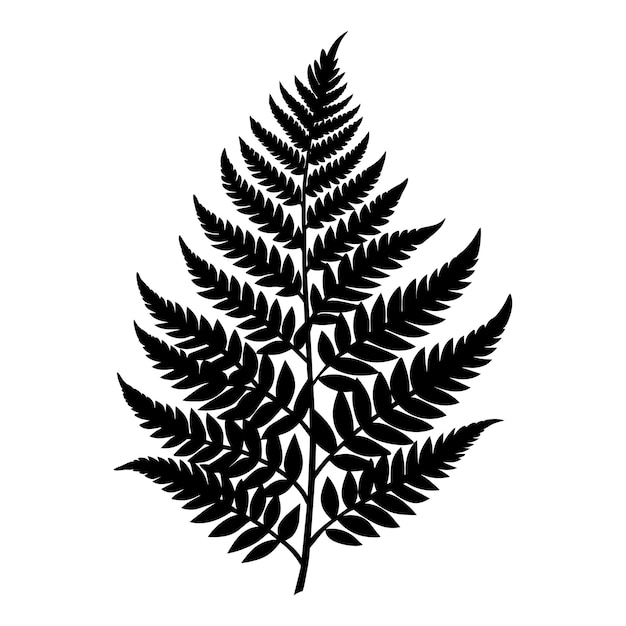 A black and white silhouette of a fern leaf