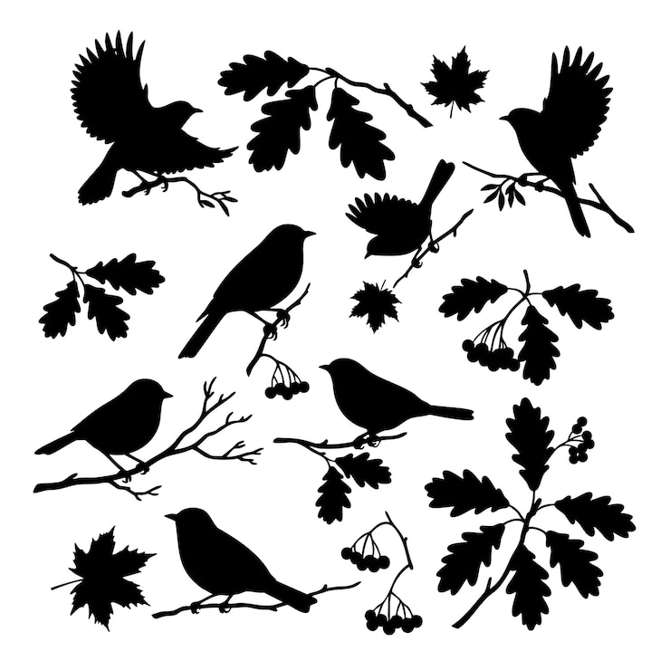 Vector black and white silhouette illustration of birds and autumn leaves