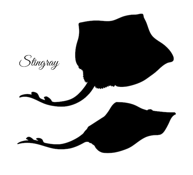 A black and white silhouette of a stingray with the name stingrays on it.