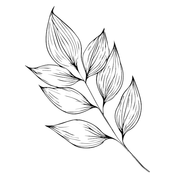 A black and white sketch of leaves botanical leaf bud illustration engraved ink art style