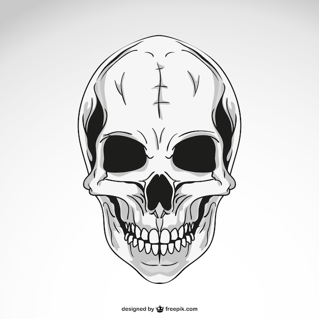 Black and white skull