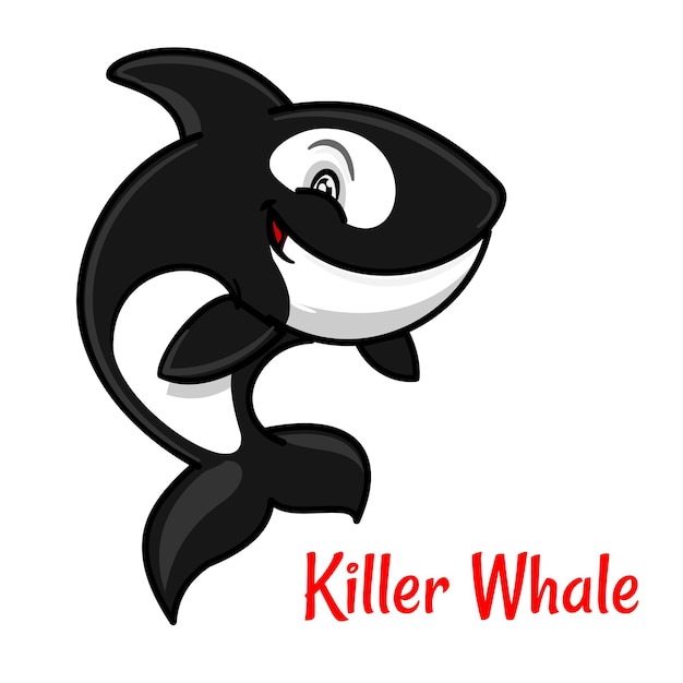 Black and white spotted killer whale cartoon character leaping out the water to breathe. Cute orca with happy smile for zoo mascot or t-shirt print design