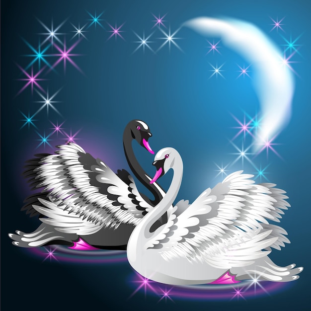 Black and white swans swim at night under the moon and glowing stars