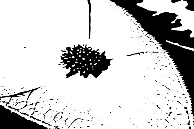 Vettore consistenza nera e bianca consistenza nera su sfondo bianco illustrazione vettoriale consistenza di sfondo