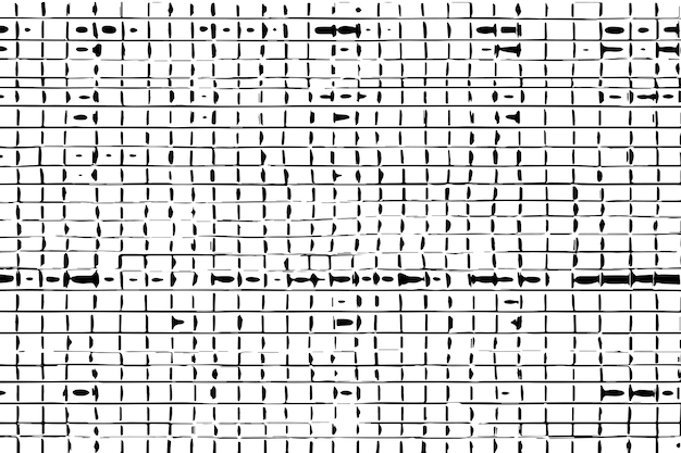 black and white texture vector image
