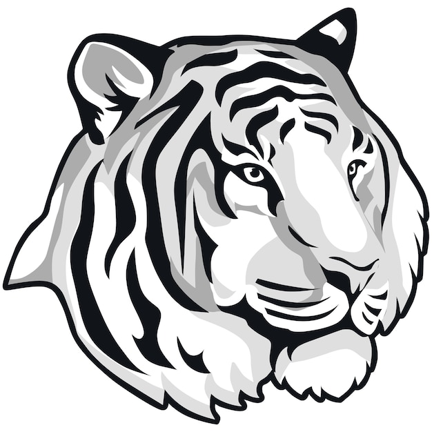 Черно-белая голова тигра с белым лицом.