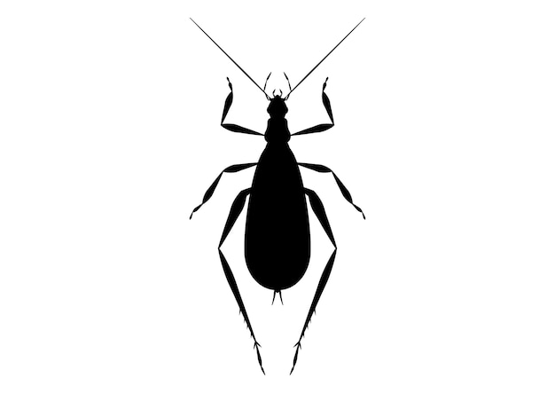 Black and White Tree Cricket Clipart Vector Coloring Page of a Tree Cricket