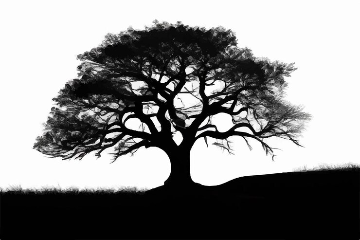 Vector black and white tree silhouette black and white tree