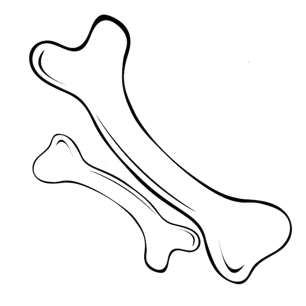 Vector black and white vector illustration of bones on a white background