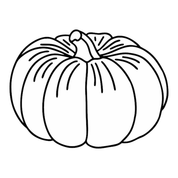 Black and white vector illustration cute pumpkin in the doodle style
