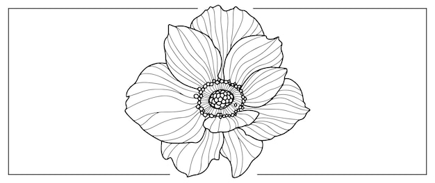 Black and white vector illustration of a flower for covers backgrounds presentations coloring books