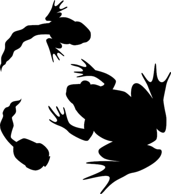Черно-белая векторная иллюстрация набора силуэтов лягушек и головастиков