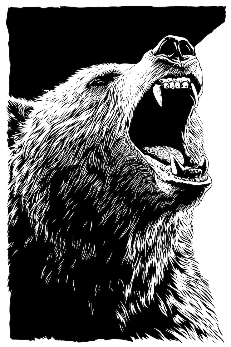 Vector black and white vector illustration of a roaring bear