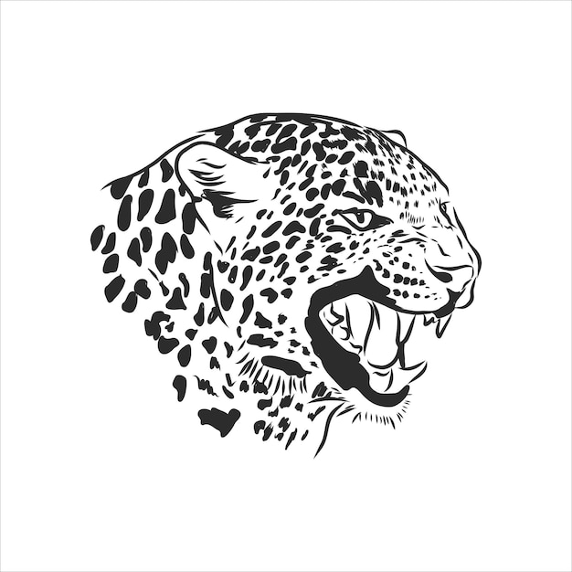 Black and white vector sketch of a leopard's head