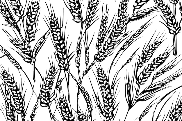 Black and white vector of wheat plant texture