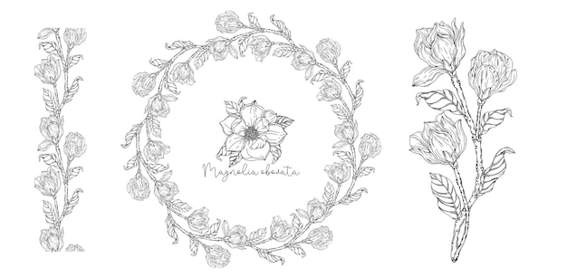 Black and white. White magnolia. Vector illustration. Botanical illustration. Flower Wreath