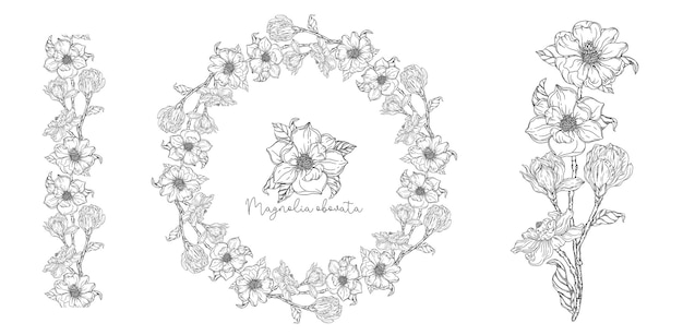 Black and white. White magnolia. Vector illustration. Botanical illustration. Flower Wreath