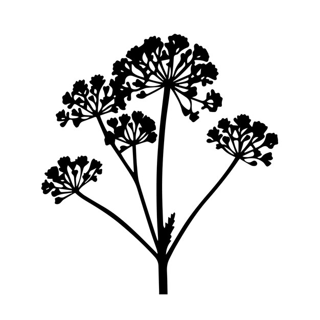 Vector a black and white of yarrow vector