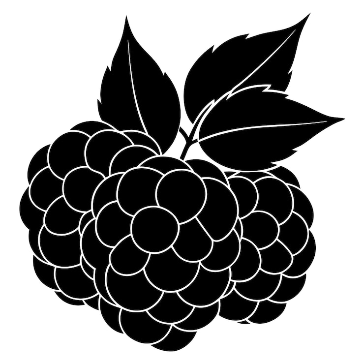 Vector blackberries silhouette vector black color silhouette