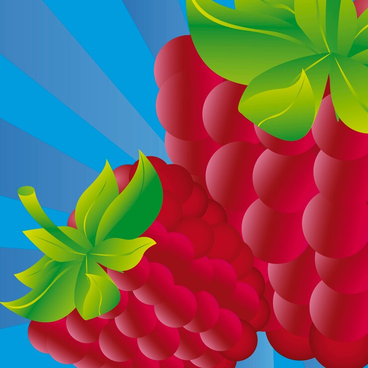 Vector blackberries