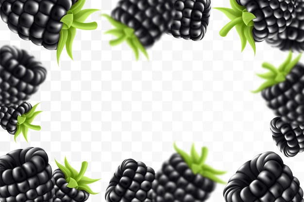 Blackberry background летающая ежевика с зеленым листом на прозрачном фоне blackberry падает под разными углами сфокусированные и размытые объекты 3d реалистичный вектор