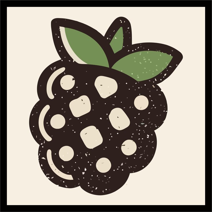 Vector blackberry color vector illustration
