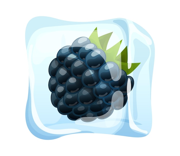 Vector blackberry frozen in transparent ice block concept realistic delicious iced berry food icon cartoon