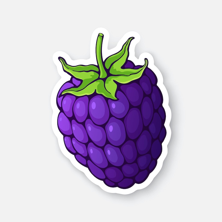 Vector blackberry fruit with stem healthy diet and vegetarian food vector illustration