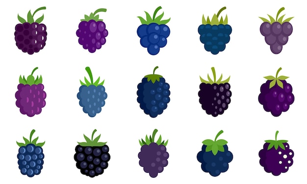 Blackberry icons set. Flat set of blackberry vector icons isolated on white background