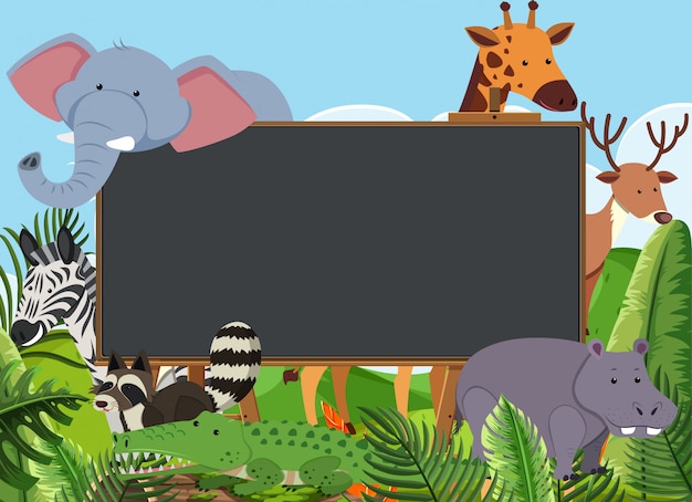 Blackboard-sjabloon met veel wilde dieren in het veld