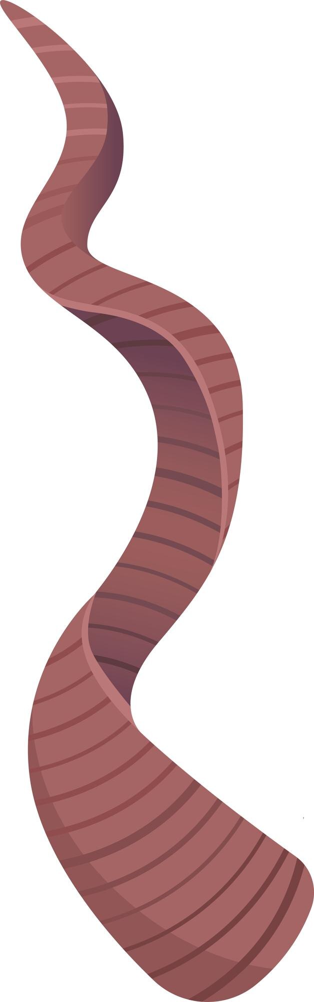 Vector blackbuck animal horn