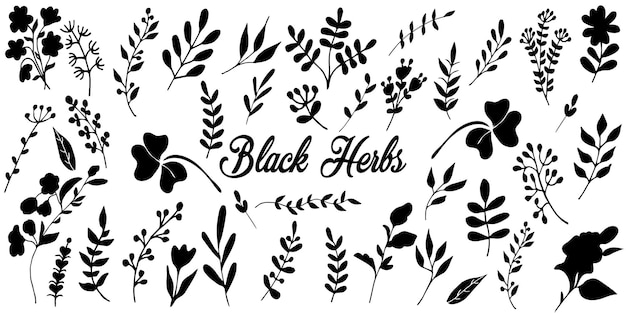 Blackherbsset