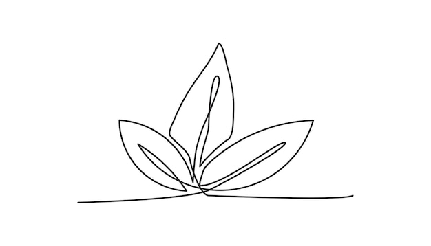 blad continue één lijn tekenen kunst