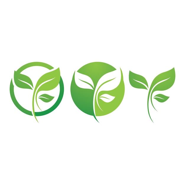 Blad groen logo ecologie natuur element vector