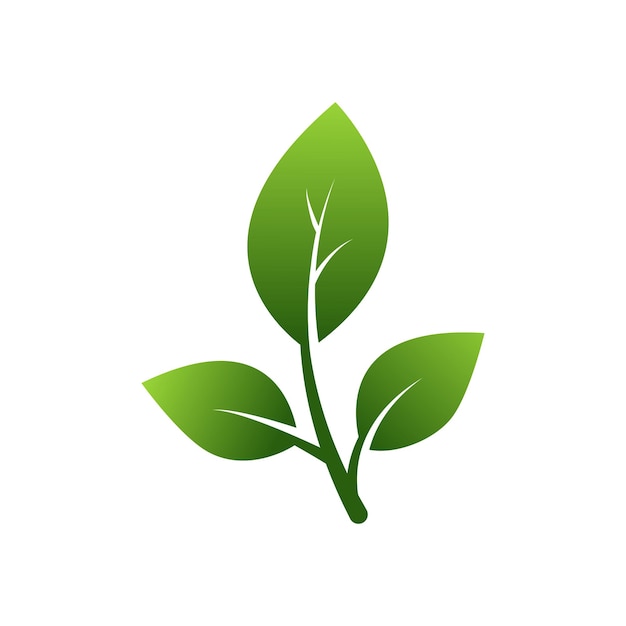blad icoon ontwerp vector sjabloon eenvoudig en modern