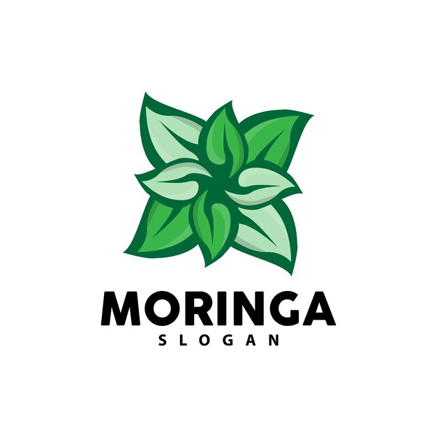 Blad Logo Eco Groene Plant Vector Groene Aarde Zorg Recycling Ontwerp Moringa Blad Logo Pictogram Sjabloon Illustratie