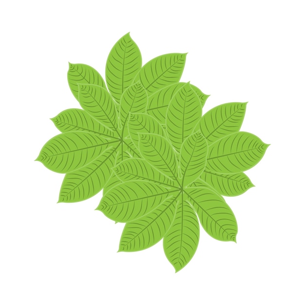 Vector blad logo groene plant ontwerp bladeren van bomen product merk sjabloon illustratie