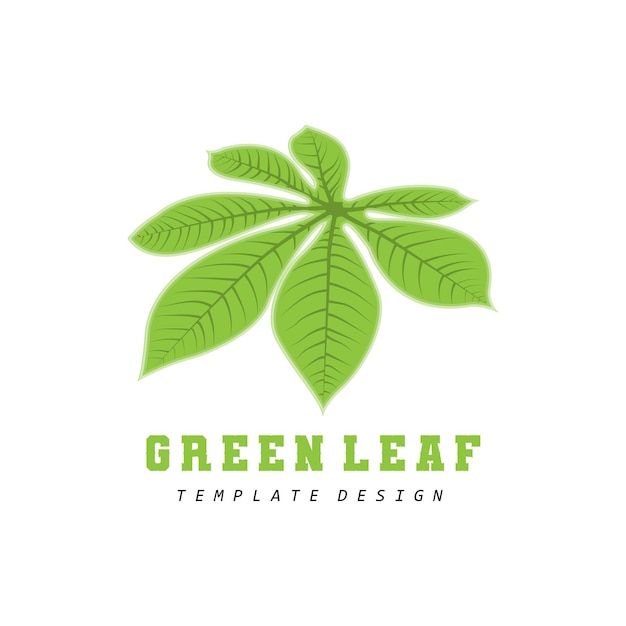 Blad Logo Groene Plant Ontwerp Bladeren Van Bomen Product Merk Sjabloon Illustratie