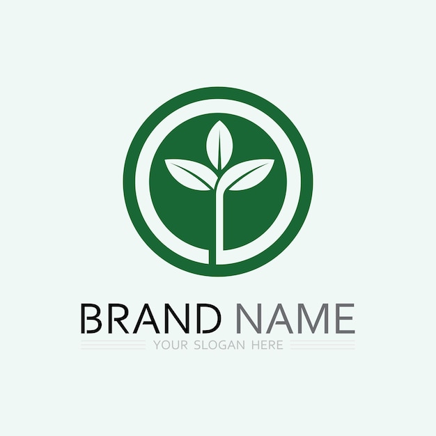 blad logo ontwerp vector voor natuur symbool sjabloon bewerkbaarGroen blad logo ecologie natuur element vector icoon