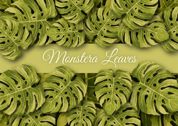 Blad monstera aquarel achtergrond