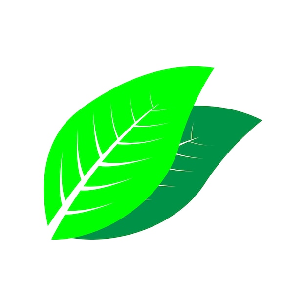 Blad natuur logo