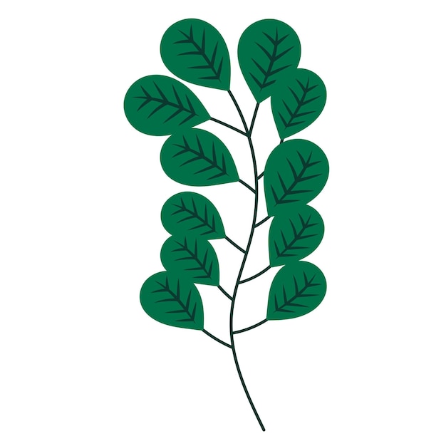 Blad plat ontwerp op witte achtergrond geïsoleerde vector